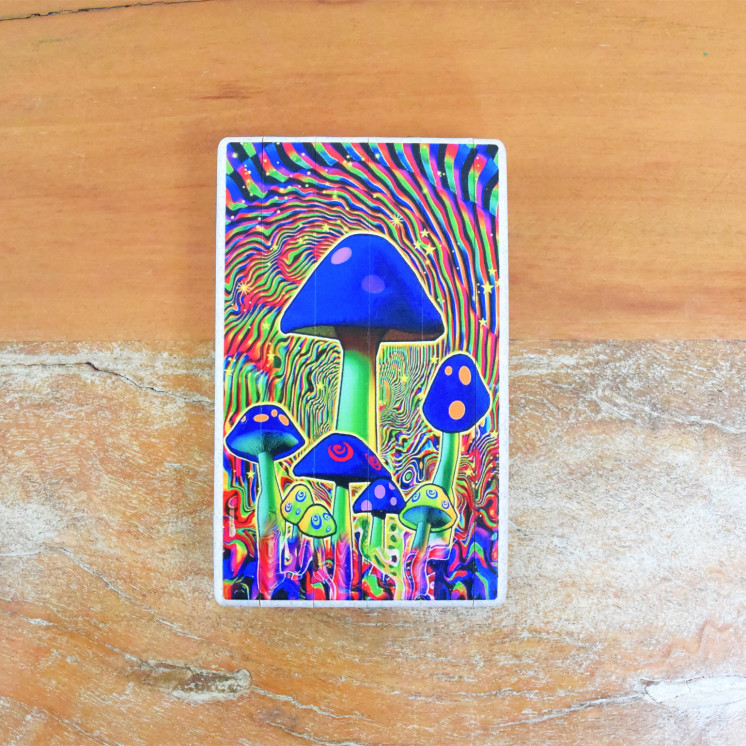 Boîte cachette à 5 compartiments.